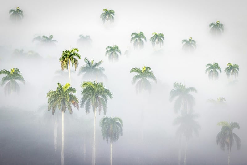 Ethereal Greens